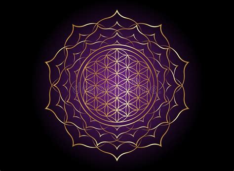 Flower Of Life Yantra Mandala In The Lotus Flower Sacred Geometry