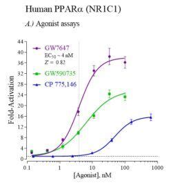 Human Ppara Reporter Assay Kit Indigo Biosciences