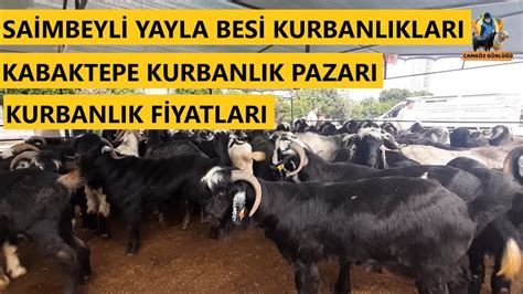 Adana Kabaktepe Kurbanl K Pazar Kurbanl K Pazar Kurban Pazar