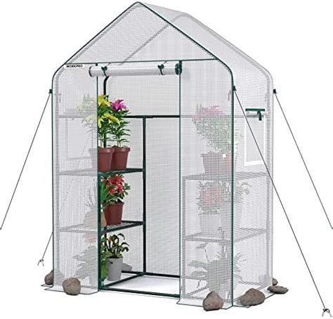 Greengro Greenhouse 56 X 56 X 75 Greenhouses For Outdoors Durable Green House