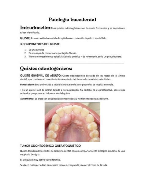 Patolog A Bucodental Itsbrianstudy Udocz