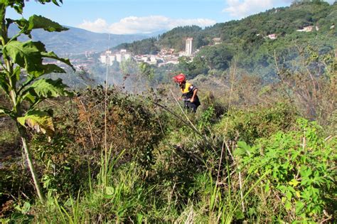 Protecci N Civil T Chira Dos Incendios Forestales Registrados En