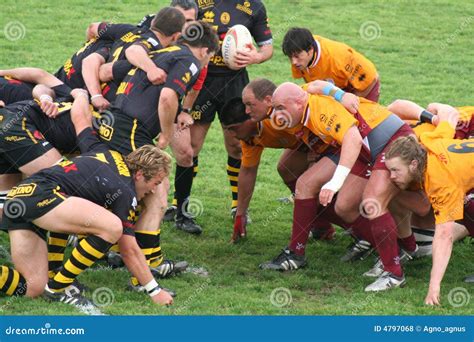 Rugby match editorial stock photo. Image of neck, italy - 4797068