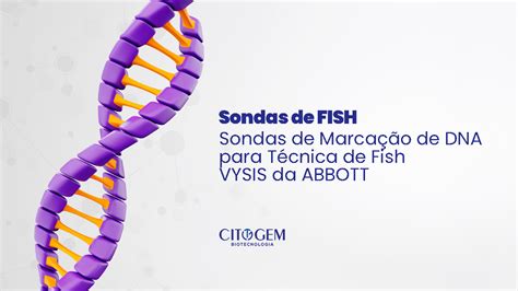 Sondas de Marcação de DNA para Técnica de Fish VYSIS da ABBOTT CITOGEM