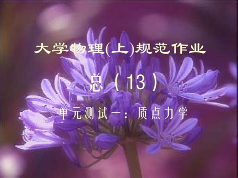 大学物理规范作业上册13解答word文档在线阅读与下载无忧文档