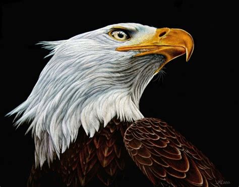 Incredible and Realistic Animal Paintings by Heather Lara - Fine Art ...