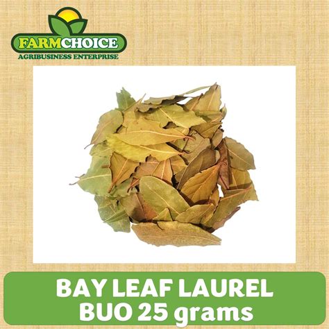 Bay Leaves Laurel 25 Grams Lazada Ph