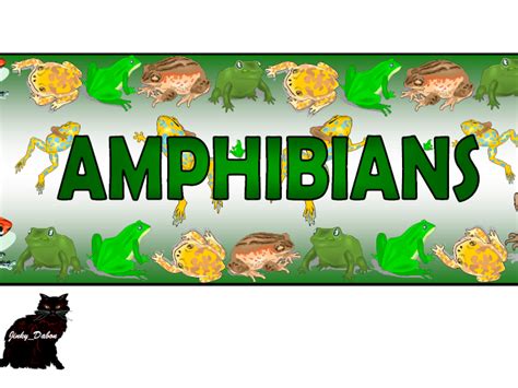 Amphibians Themed Pack | Teaching Resources