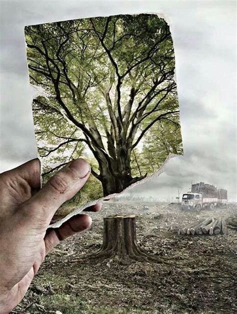 Ecofriendly: Deforestation Effects