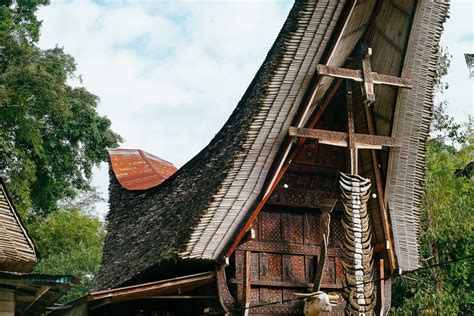 Detail Rumah Adat Toraja Koleksi Nomer