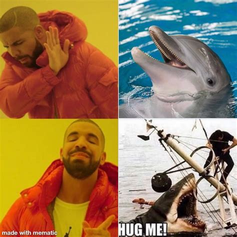 Sharks so cute : memes