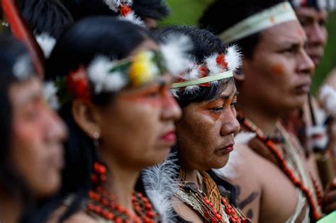 Sí al Yasuní Ecuador vota a favor de la naturaleza Futuro Verde