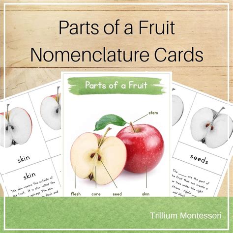 Trillium Montessori: Resources for Montessori Teachers, Leaders, Parents