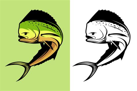 Mahi mahi fish vector illustration | Illustrator Graphics ~ Creative Market