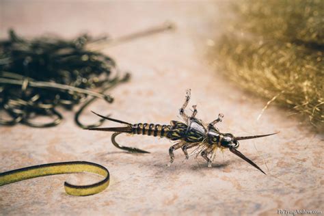 Fly Tying Archive | Pro Golden Stonefly Nymph