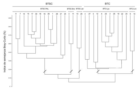 Dendrograma Que Muestra Las Relaciones Jerárquicas Entre Los Sitios De
