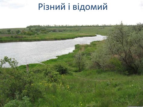 Різний і відомий - презентация онлайн