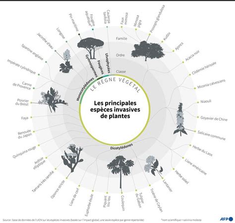 Espèces invasives une menace sous estimée au cœur d un rapport inédit