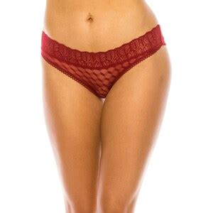 Sheer Panty Sheer Lace Bikini Panty Bikini Panties Woman Etsy Canada