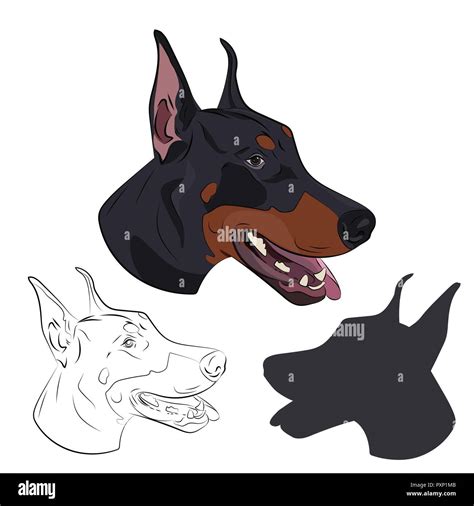 Silhouette dog head doberman pinscher hi-res stock photography and ...