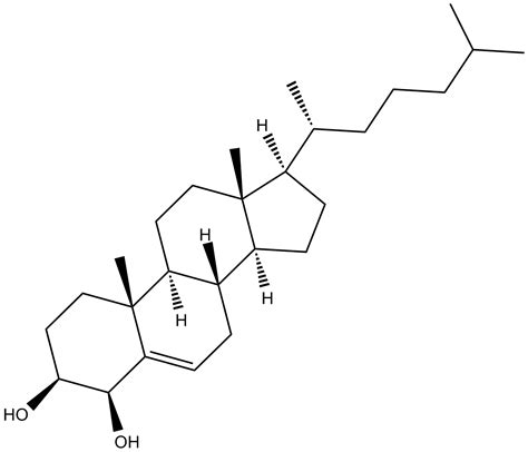 CYP3A/CYP450 - Metabolism - Signaling Pathways