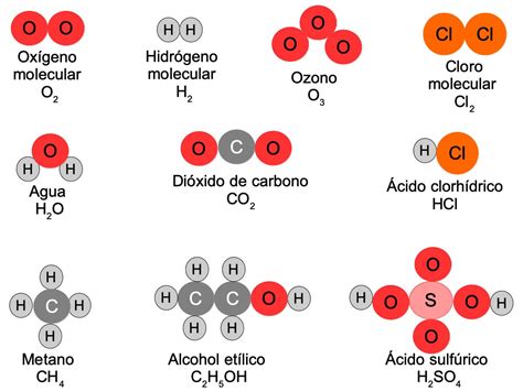 Microprocesador Campo Un Poco Diferencia Entre Moleculas Polares Y No