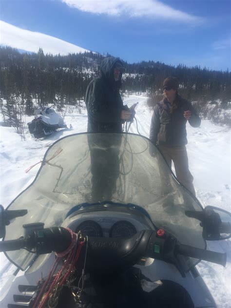 wildwood animal clinic 8