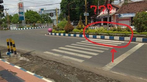 Sebelum Menyebrang Jalan Raya Pastikan 4 Langkah Ini Kalian Lakukan