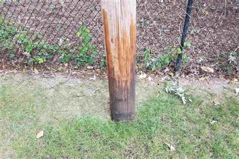 How To Prevent Your Fence Posts From Rotting
