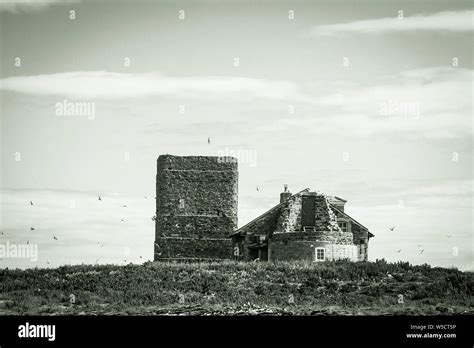 Brownsman Island Lighthouse Farne Islands Northumberland Uk Stock