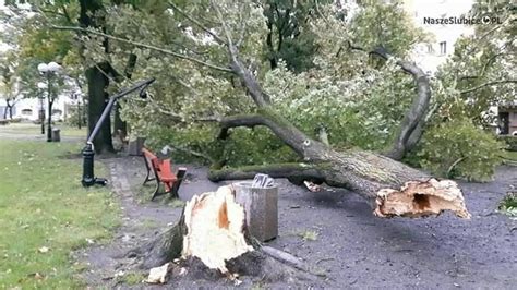 Orkan Ksawery w Lubuskiem siał zniszczenie Siła wiatru przekraczała