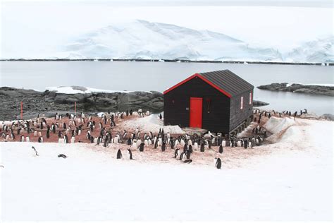 British Antarctic Territory Uk Overseas Territories Conservation Forum