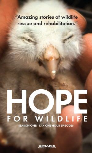 Hope for Wildlife, Season Six – Hope for Wildlife TV