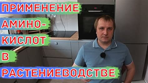 Всё, что вам необходимо знать про аминокислоты! Аминокислоты в ...