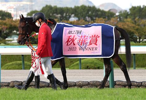 【秋華賞】サンデーr吉田代表「大事にしてきた」バラ一族スタニングローズvに「喜びひとしお」 競馬写真ニュース 日刊スポーツ