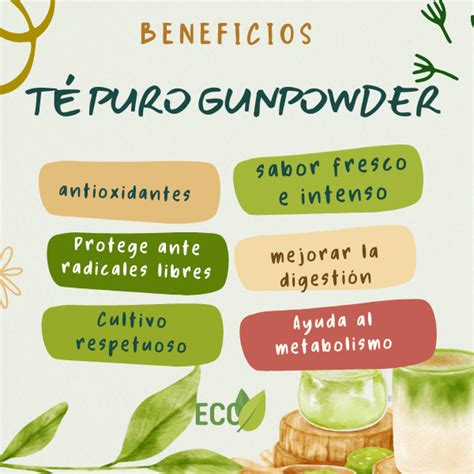 Té Verde Gunpowder Ecológico Antioxidante Neuroprotector Adelgazante