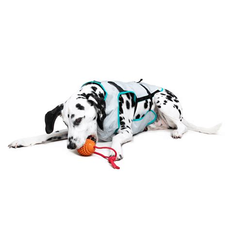 Suitical Cooling Vest Cooling Vest To Prevent Overheating Vital Vet