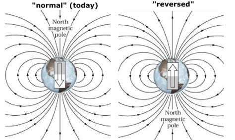 Geol 204 The Fossil Record Clocks In The Rocks The Geologic Record