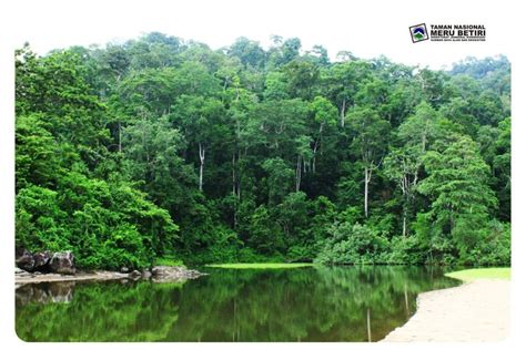 Foto Taman Nasional Meru Betiri Jember Temukan Flora Dan Fauna