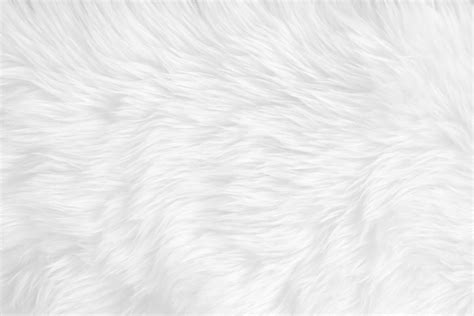 Premium Photo White Clean Wool Texture Background Light Natural Sheep