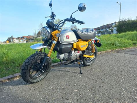 HONDA Z 125 MA Monkey Naked Neufahrzeug CHF 5 090