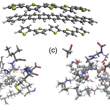 Examples of large molecular assemblies considered in this work: (a ...