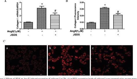 Figure 1 From Jia Shen Decoction Medicated Serum Inhibits Angiotensin