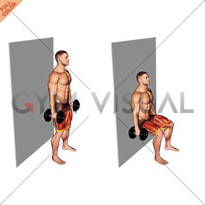 Dumbbell Banded Wall Sit (male)