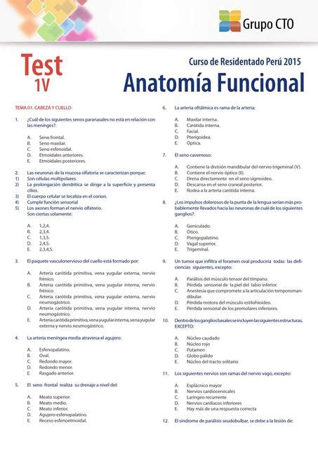 Preguntas Examen Anatom A Humana Udocz