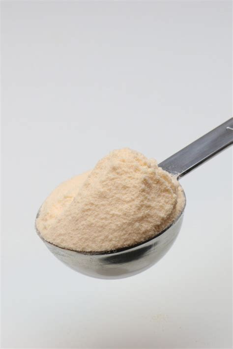 Dried Parmesan Cheese Powder | Bulk Parmesan Seasoning