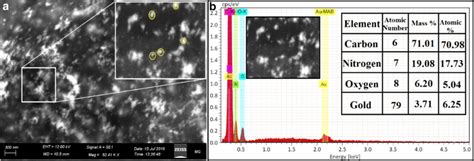 Surface Morphology And Elemental Analysis Of The Au NPs Synthesized By