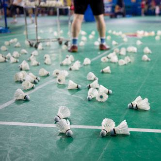 ou jouer au badminton  grenoble