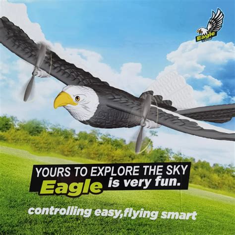 Rc avião wingspan águia avião lutador 2 4g controle remoto de rádio