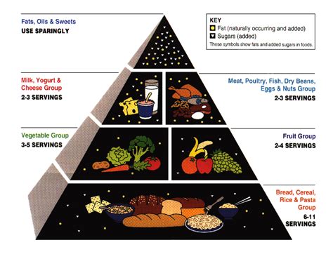 Food Pyramid 2020 Basics & Money's Influence on USDA Guidelines